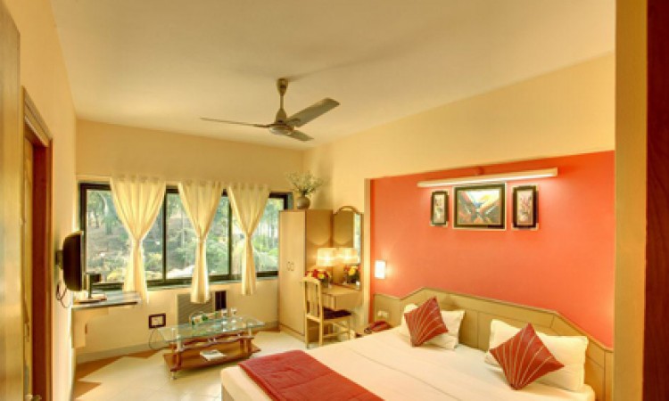 Suite Room Suite Room