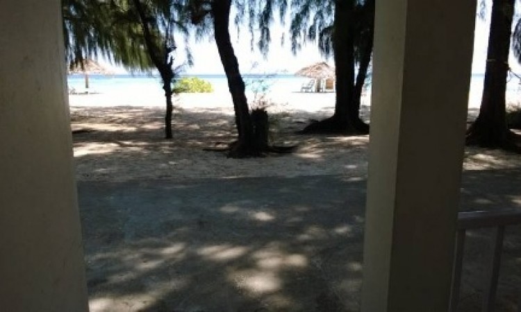 View from the Room
