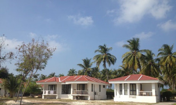 View of the Cottage