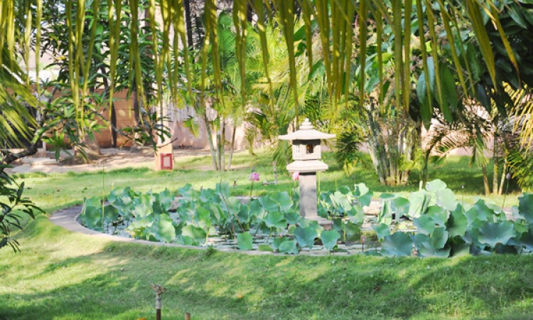 Garden Area