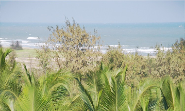 Beach View