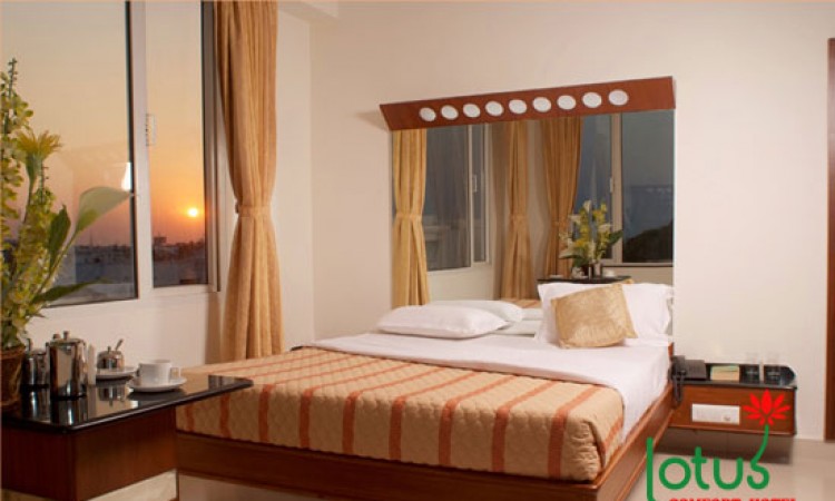 Comfortable Room Comfortable Room