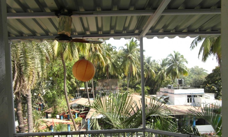 View from the Verandah View from the Verandah