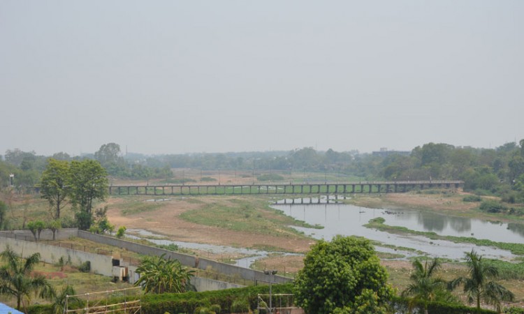Serene Landscape