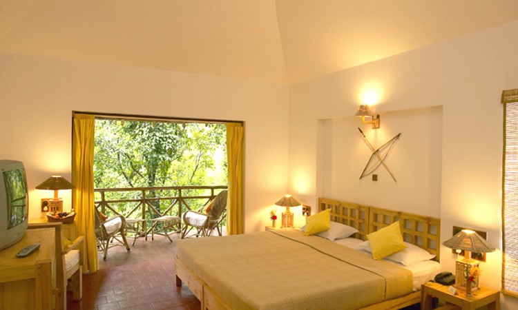 Comfortable Room