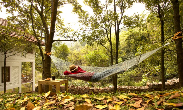 Hammock