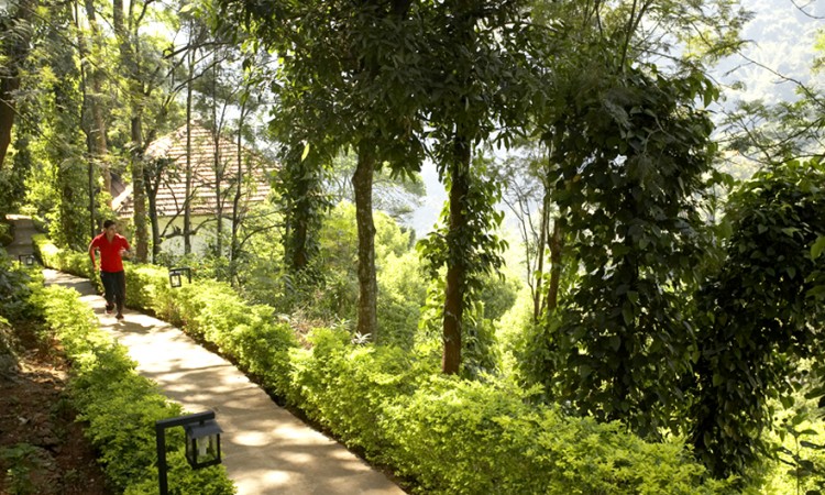 Pathway