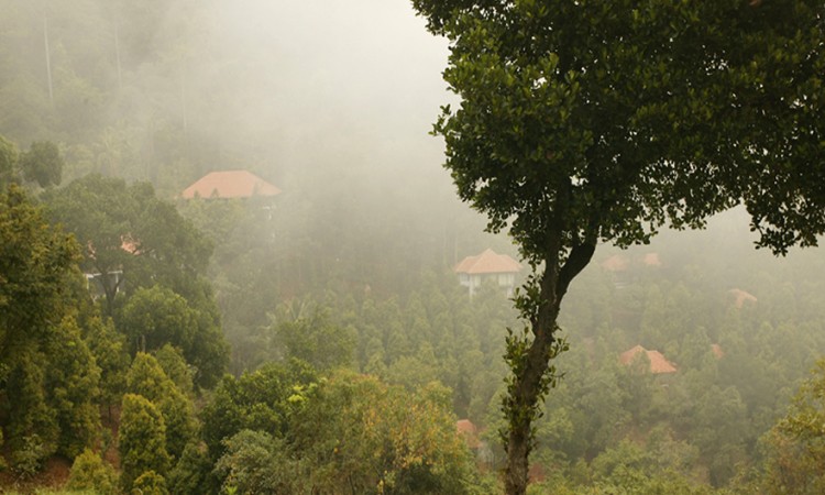 Serene Landscape