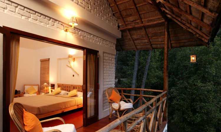 Tree House