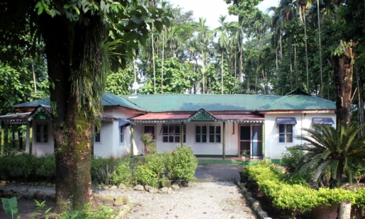 Garden Encircling the Bungalow