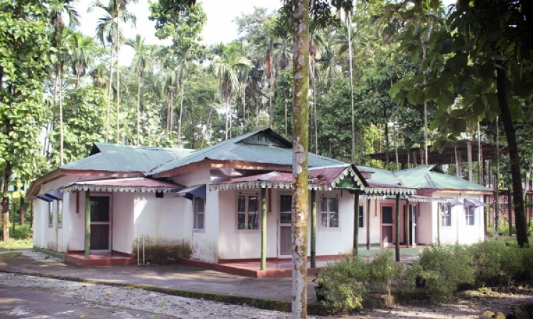 Bungalow View