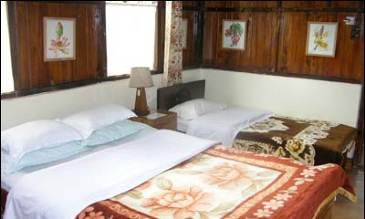 Wood Cot Room Wood Cot Room