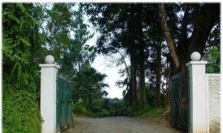 Front Gate Front Gate