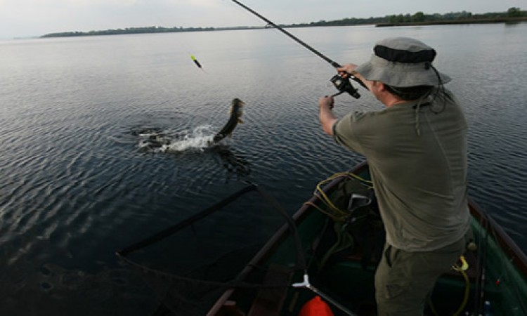 Angling Angling