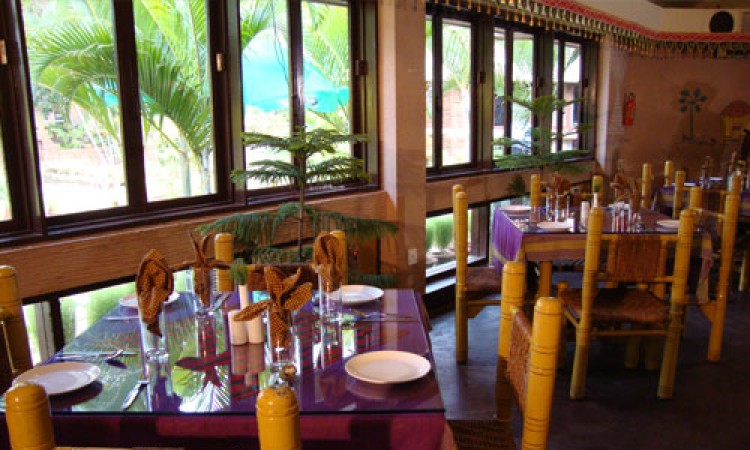 Dine Dine
