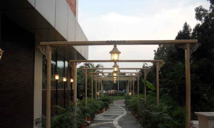 Lawn Area