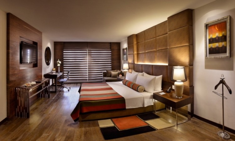 Luxury Suite Luxury Suite