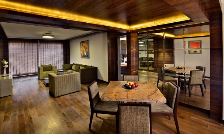 Luxury Suite Living Area Luxury Suite Living Area