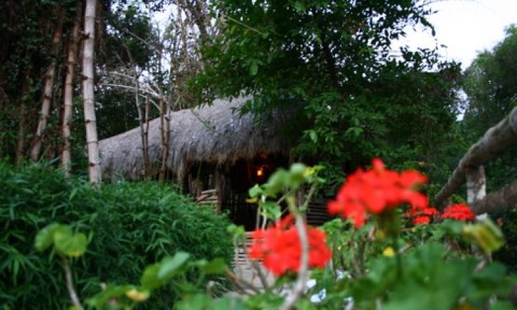 Coffee Hut