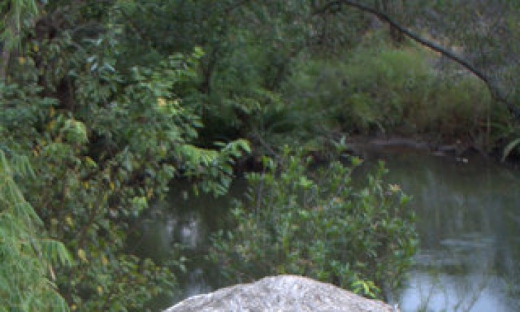 River side Barbeque