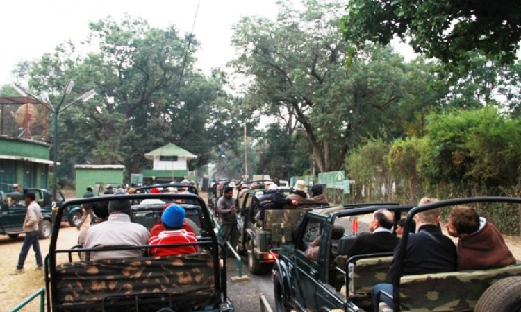 Jeep Safari Jeep Safari