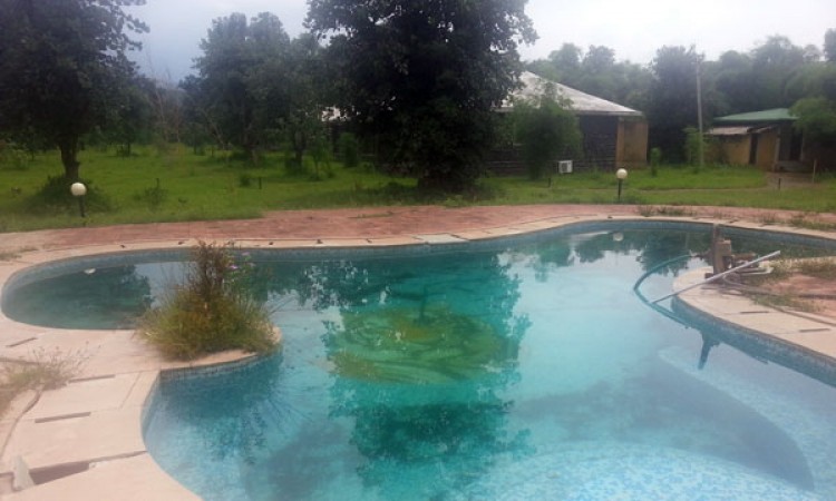 Pool View Pool View