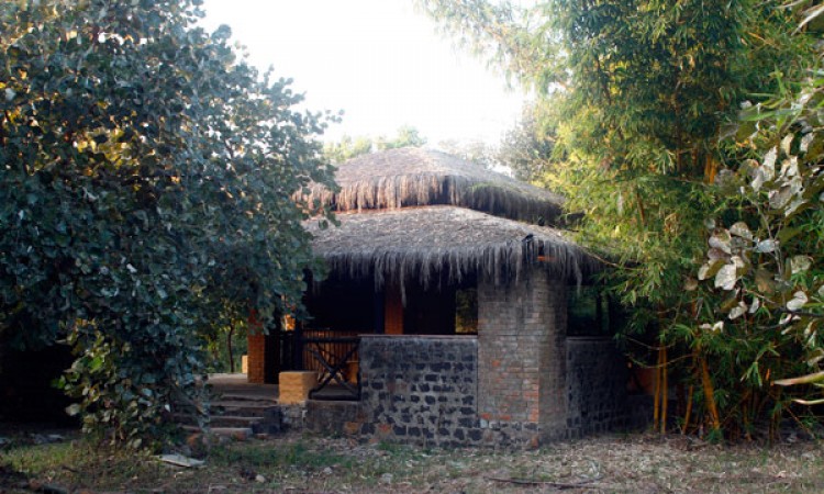 Cottage Cottage