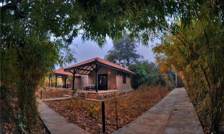 Lodge Accommodation