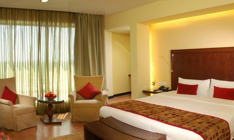 Plush Room Interior
