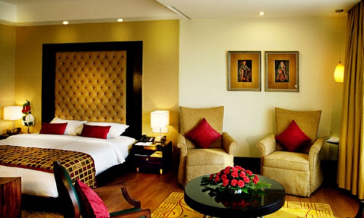 Luxurious Room