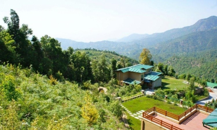 Amidst Lush Greenery