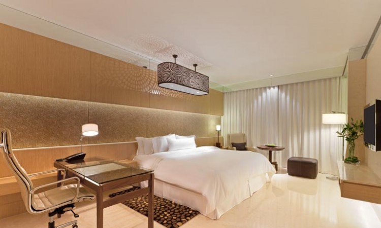 Luxury Room Luxury Room