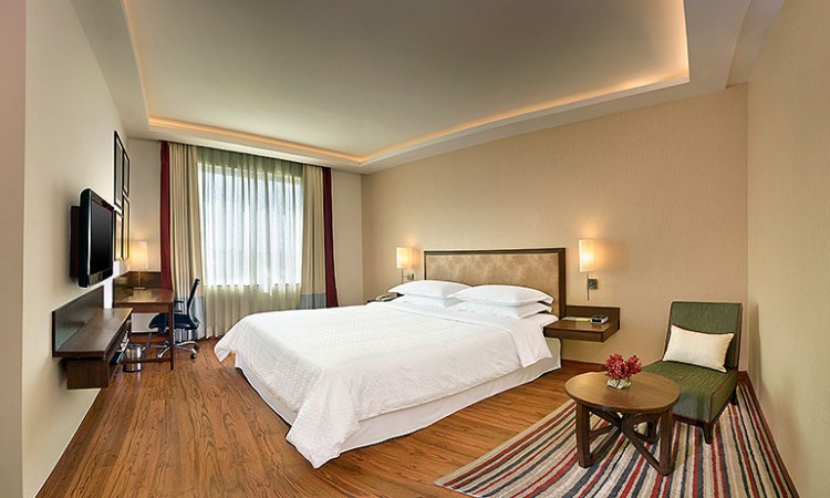Spacious Room Spacious Room