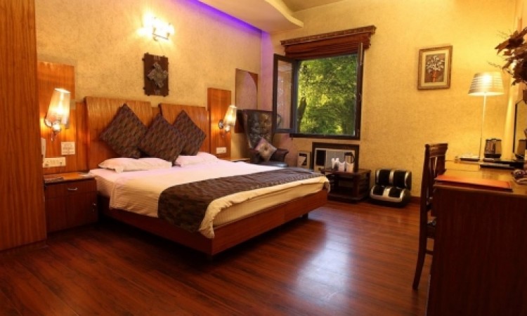 Plush Room Interior Plush Room Interior
