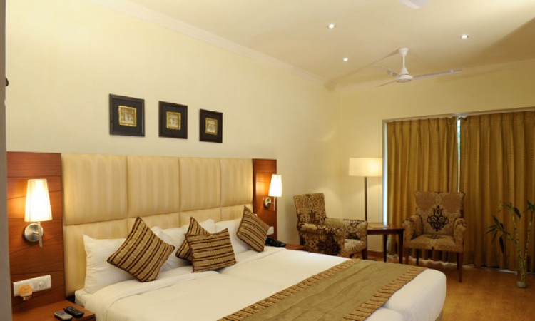 Luxury Room