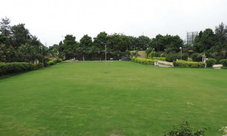 Garden Area