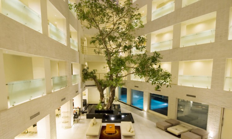 Courtyard from Top