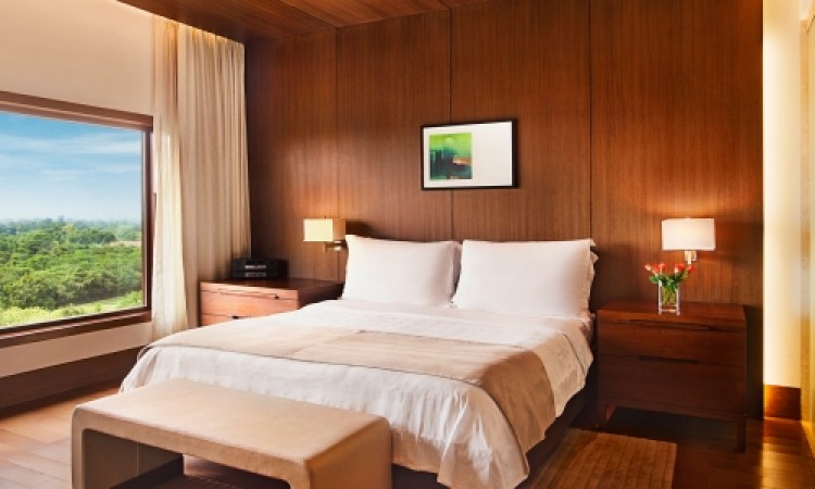 Executive Suite Executive Suite