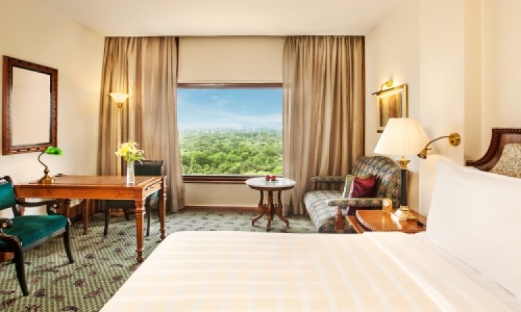 Luxury Room Luxury Room