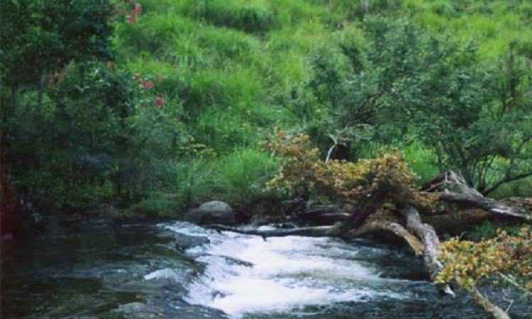 Gavi Waterfalls Gavi Waterfalls