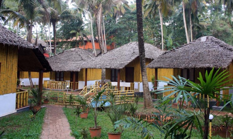 Bamboo cottages