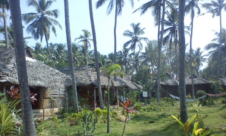 Cottage surrounding the garedens