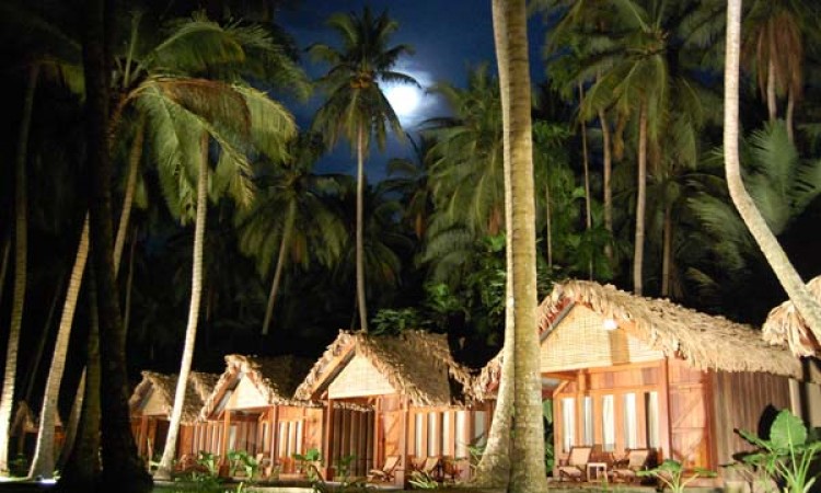 Cottage View at Night