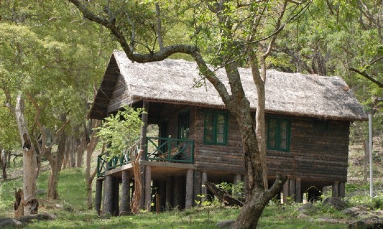 Cottage