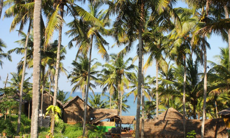 Resort view