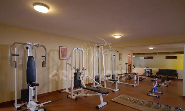 Gym Gym