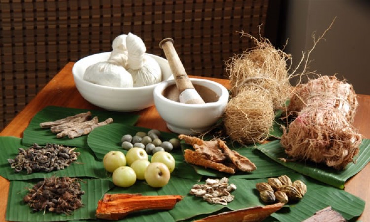 Natural Herbs Natural Herbs