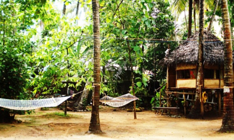 Shiva treehouse