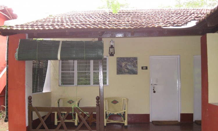 Room Room