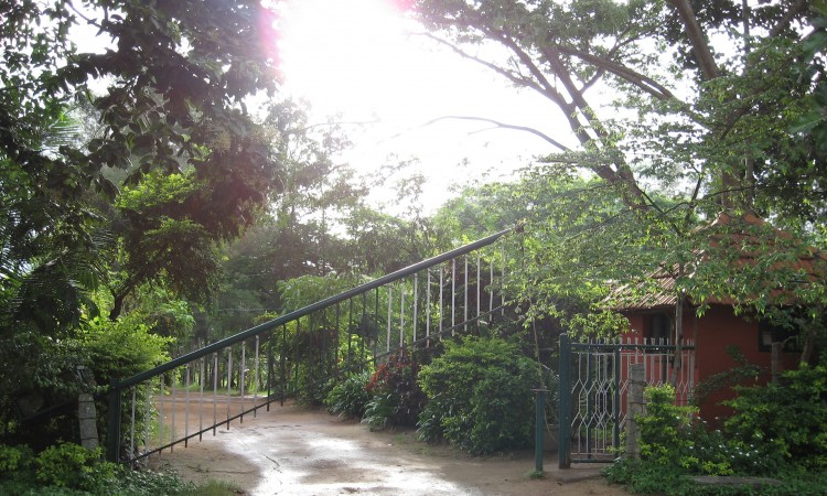 Entrance Entrance